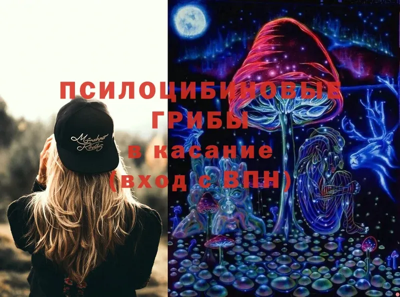 закладки  MEGA рабочий сайт  Галлюциногенные грибы Cubensis  Кировск 